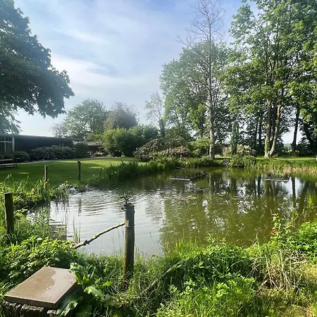 Dreckerhook, Oasis To Slow Down!