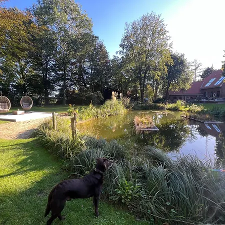 Dreckerhook, Oasis To Slow Down! * Raesfeld