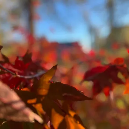 Dreckerhook, Oasis To Slow Down! Apartment