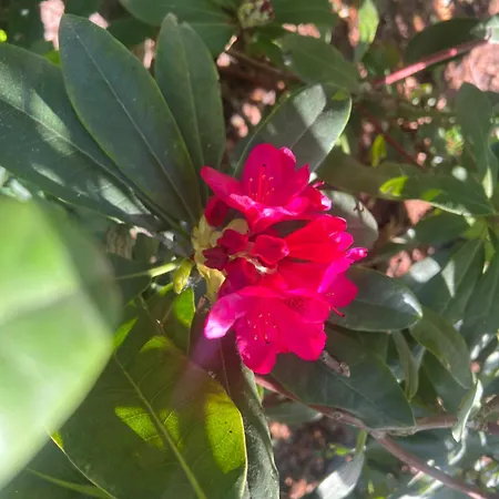 Dreckerhook, Oasis To Slow Down! Διαμέρισμα *