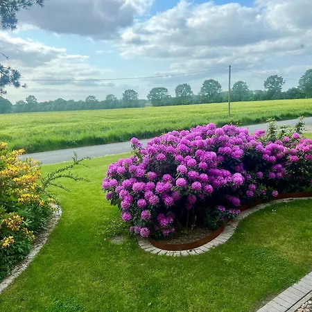 Διαμέρισμα Dreckerhook, Oasis To Slow Down!