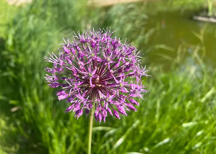 Dreckerhook, Oasis To Slow Down! * Raesfeld