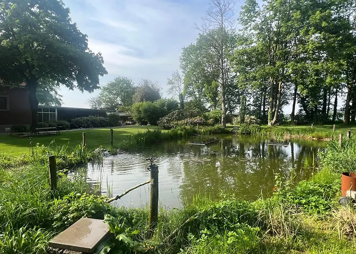 Dreckerhook, Oasis To Slow Down!