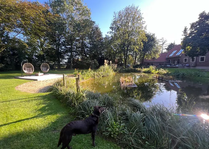 Dreckerhook, Oasis To Slow Down! * Raesfeld