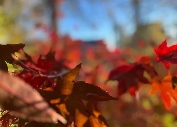 Dreckerhook, Oasis To Slow Down! Appartement