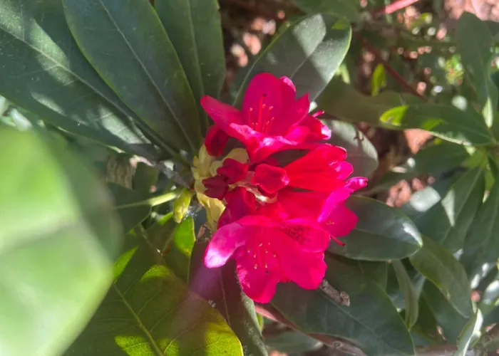 Dreckerhook, Oasis To Slow Down! Appartement *