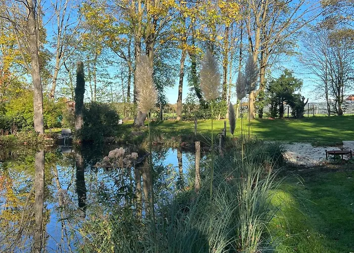 Dreckerhook, Oasis To Slow Down! * Raesfeld