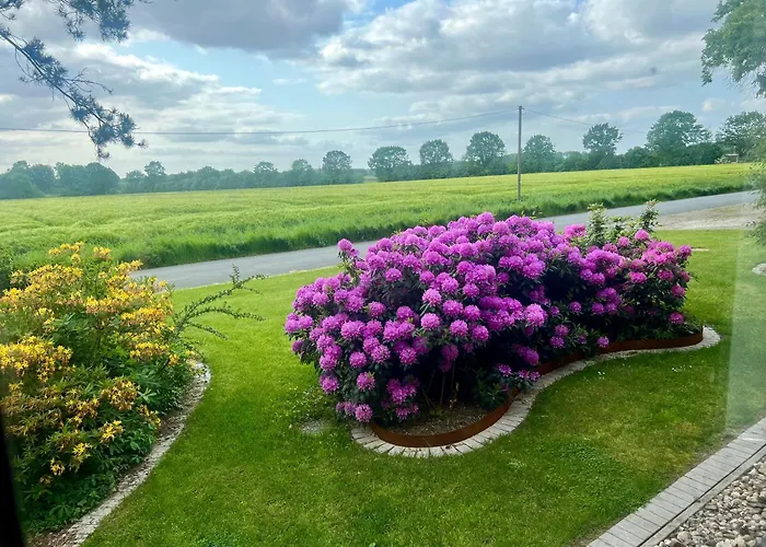 Apartment Dreckerhook, Oasis To Slow Down!