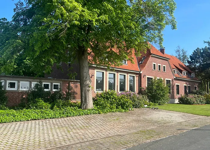 Dreckerhook, Oasis To Slow Down! *